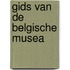 Gids van de belgische musea