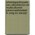 Arbeidsparticipatie van allochtonen en multicultureel personeelsbeleid in zorg en welzijn