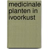 Medicinale planten in ivoorkust by Derkwillem Visser
