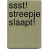 Ssst! Streepje slaapt! door L. Depondt