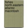 Fishes North-eastern Atlantic Macintosh door Onbekend