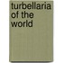 Turbellaria of the world
