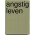 Angstig leven