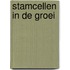 Stamcellen in de groei