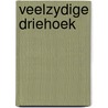 Veelzydige driehoek by Stumpel