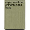 Esperantostraat Gemeente Den Haag by C.C. Nicholson
