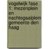 Vogelwijk fase 1: Mezenplein en Nachtegaalplein Gemeente Den Haag