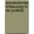 Aansluitende milieuzorg in de praktijk