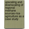 Upscaling and downscaling of regional methane sources-rice agriculture as a case study by H. Denier van der Gon