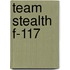 Team stealth f-117