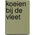 Koeien bij de vleet