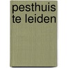 Pesthuis te leiden by Droge