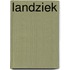 Landziek