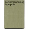 Schiermonnikoog lytje pole by Mellema