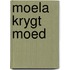 Moela krygt moed