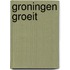 Groningen groeit