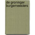 De Groninger Burgemeesters