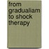 From gradualiam to shock therapy