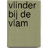Vlinder bij de vlam