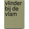 Vlinder bij de vlam door C. Swanenberg