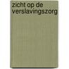 Zicht op de verslavingszorg door J. Toet