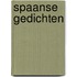 Spaanse gedichten