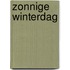 Zonnige winterdag