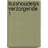 Huishoudelyk verzorgende 1