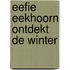 Eefie Eekhoorn ontdekt de winter