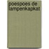 Poespoes de lampenkapkat