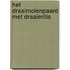 Het draaimolenpaard met draaieritis