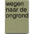 Wegen naar de ongrond