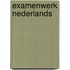 Examenwerk Nederlands