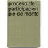 Proceso de participacion pie de monte