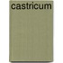 Castricum