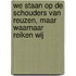 We staan op de schouders van reuzen, maar waarnaar reiken wij