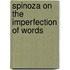 Spinoza on the imperfection of words