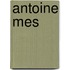 Antoine Mes