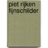 Piet Rijken fijnschilder