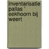 Inventarisatie Pallas ' eekhoorn bij Weert