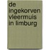 De ingekorven vleermuis in Limburg