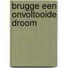 Brugge een onvoltooide droom door Hoeven