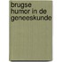 Brugse humor in de geneeskunde