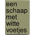 Een schaap met witte voetjes