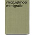 Vliegtuighinder en migratie