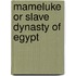 Mameluke or slave dynasty of egypt