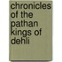 Chronicles of the pathan kings of dehli