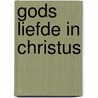 Gods liefde in Christus door Maarten Luther