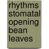 Rhythms stomatal opening bean leaves door Hopmans