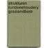 Strukturen rundveehoudery graslandbedr